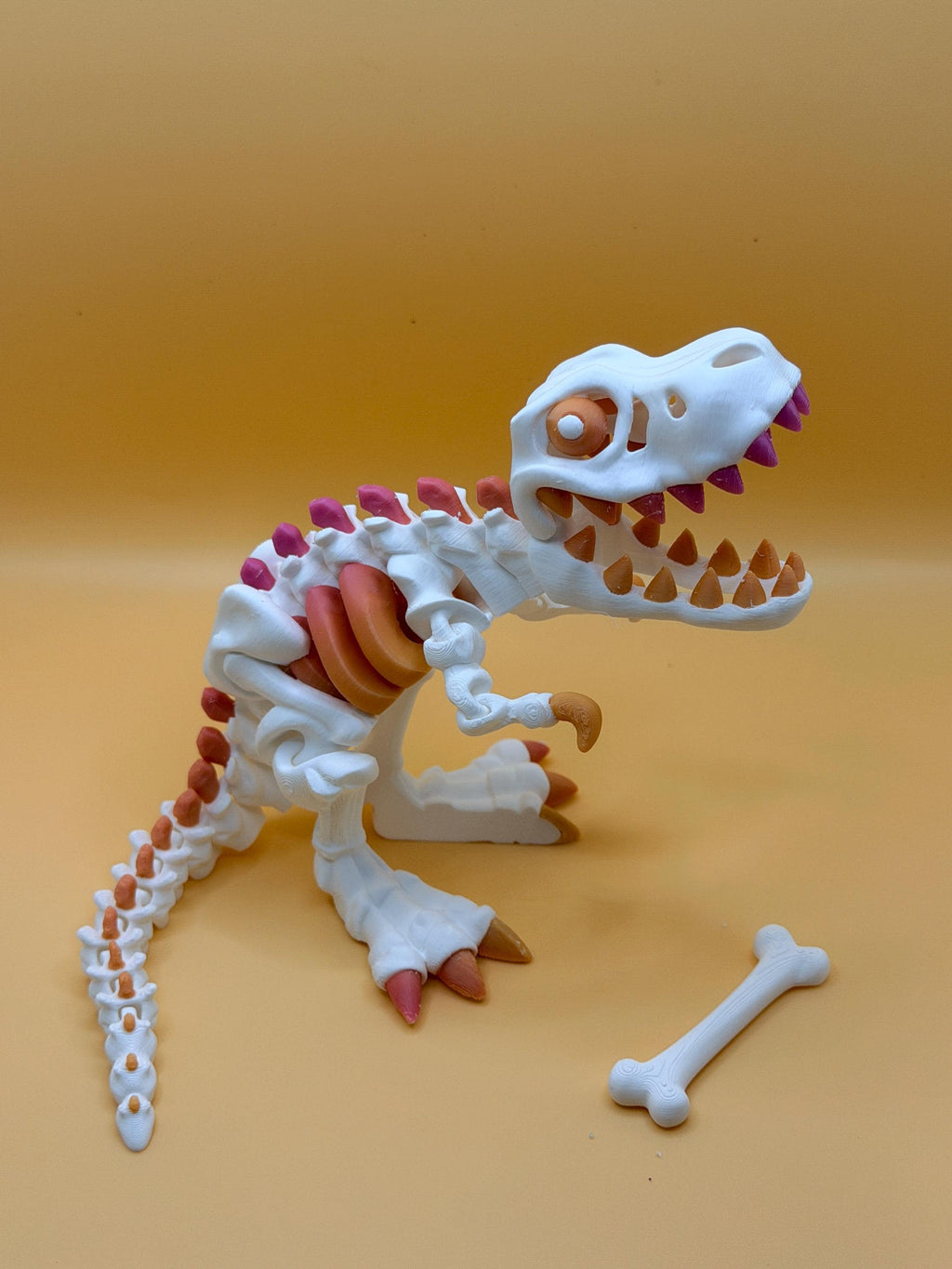 Multicolor 3D Printed Skeleton Dinosaur & Animal Figures | Choose Your Model | Color Accent Bones