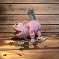 Saving Challenge - Flexi Piggy Bank