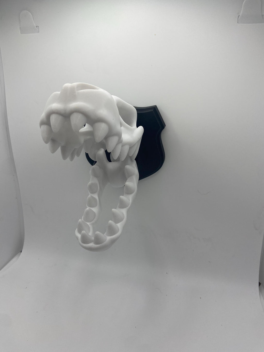 Skeleton Dino Wall Hangers - Decoration