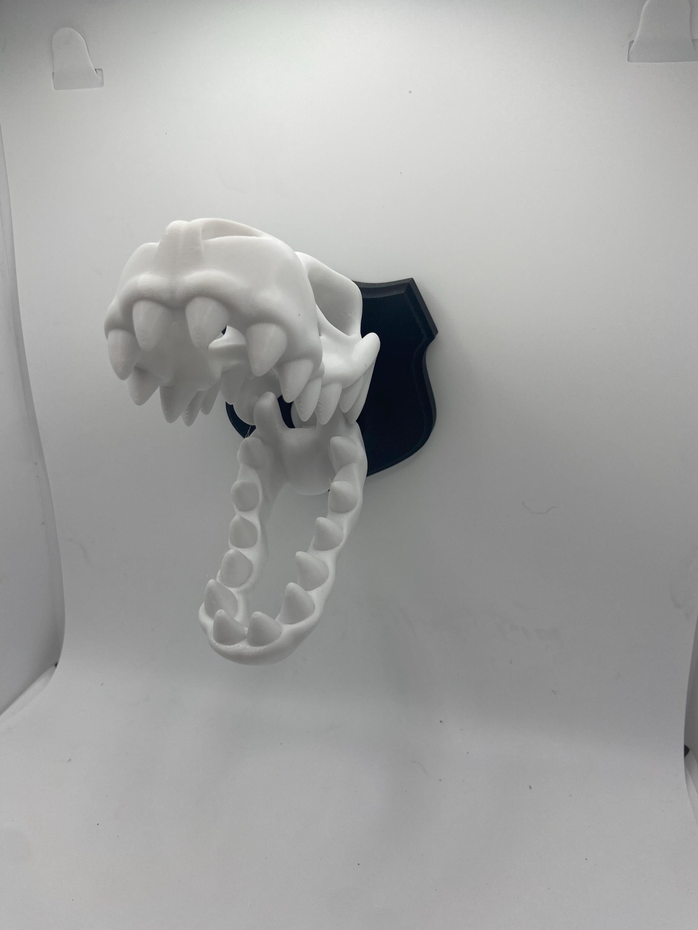 Skeleton Dino Wall Hangers - Decoration