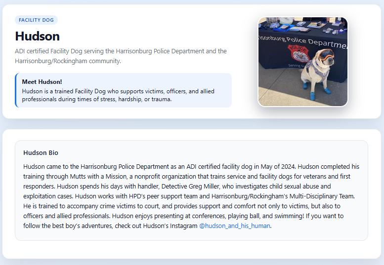 Custom RFID Dog Tag | NFC Pet ID for Facility & Service Dogs