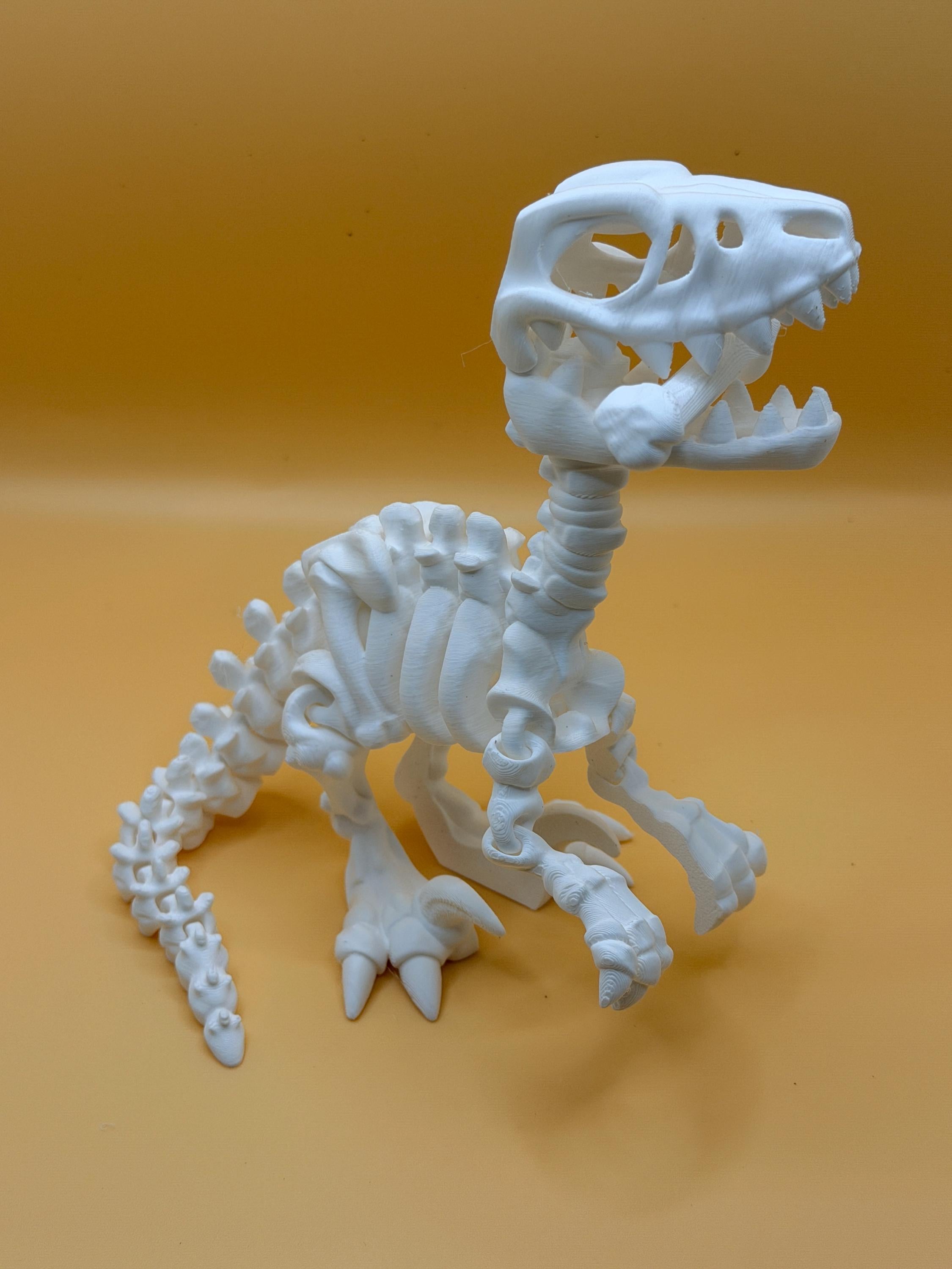 3D Printed Skeleton Dinosaur & Animal Figures | Choose Your Model | Desk Decor