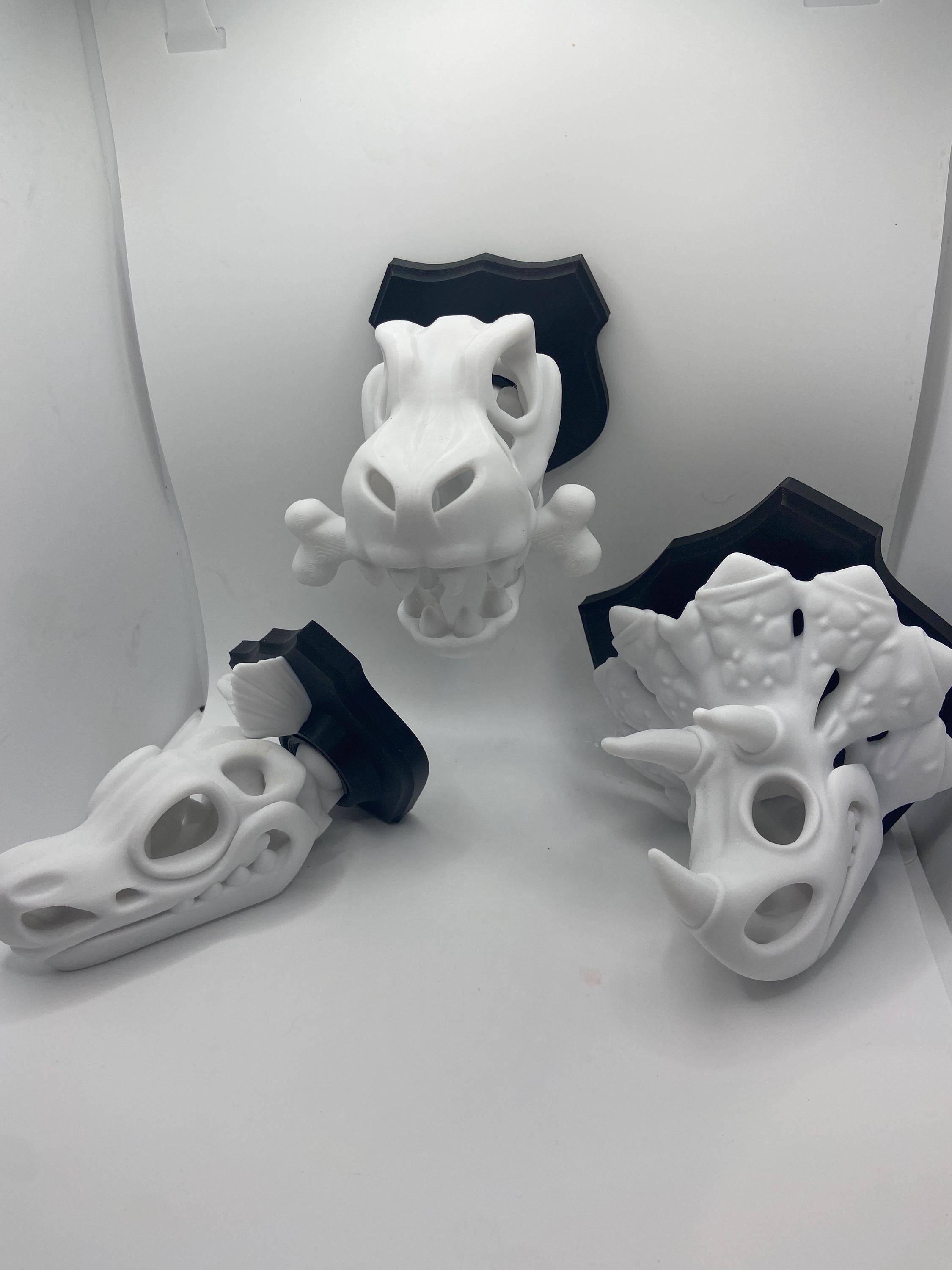 Skeleton Dino Wall Hangers - Decoration