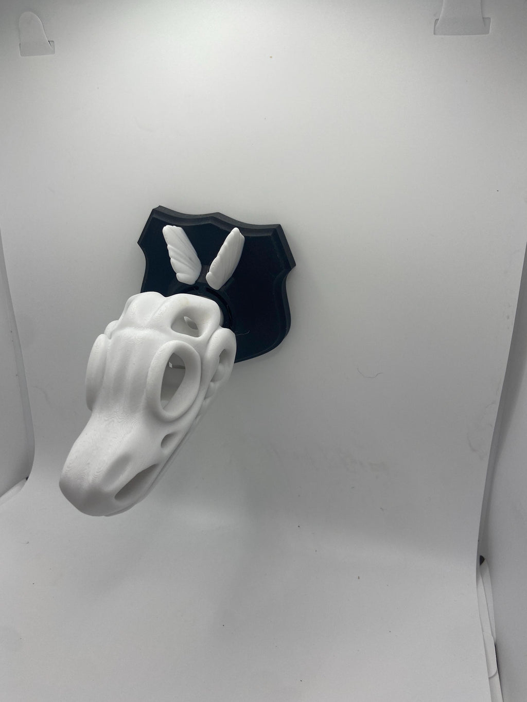 Skeleton Dino Wall Hangers - Decoration