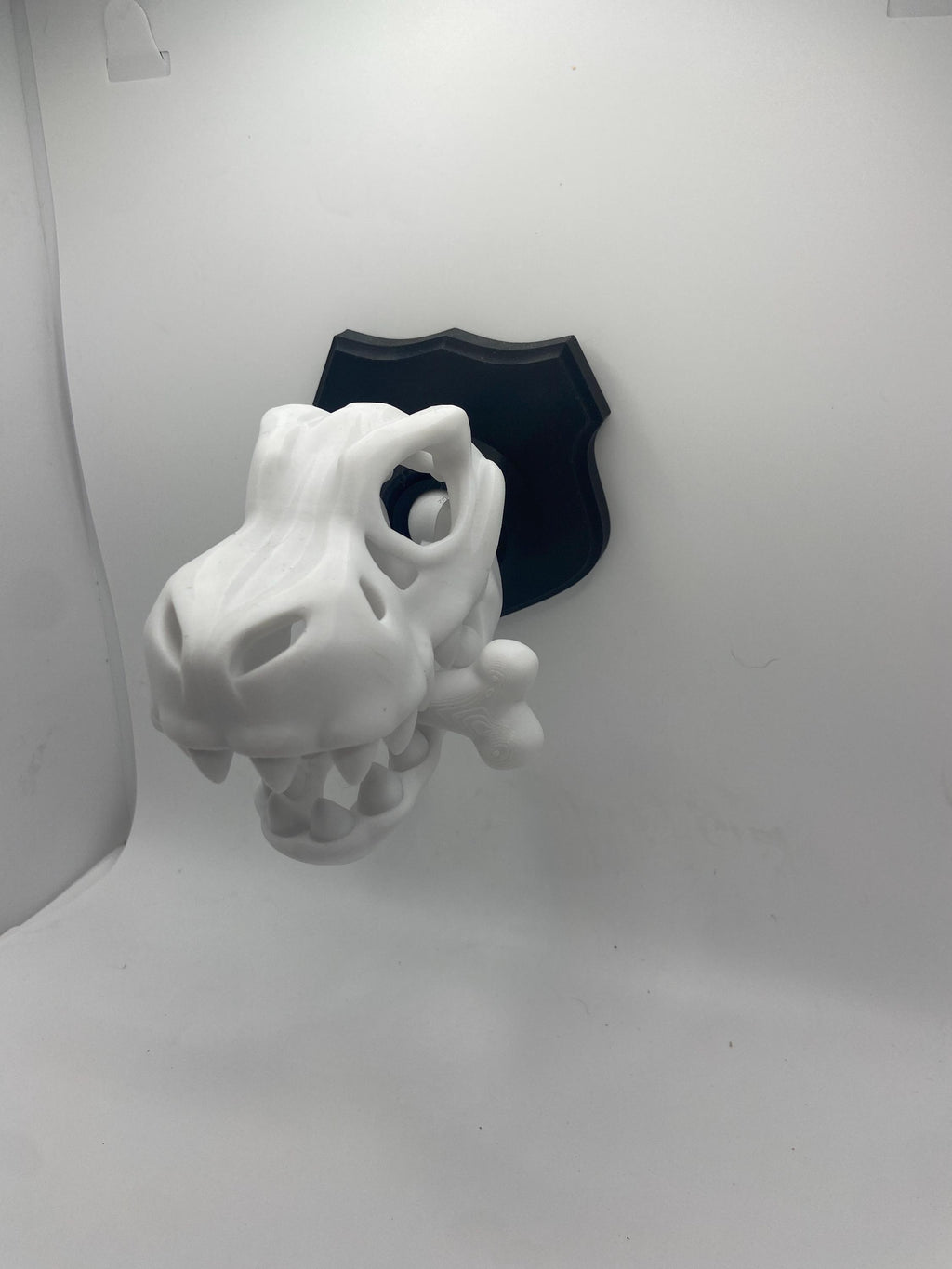 Skeleton Dino Wall Hangers - Decoration